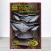 Мицелий гриба Вешенка обыкновенная, 10г